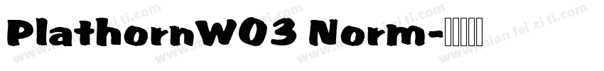 PlathornW03 Norm字体转换